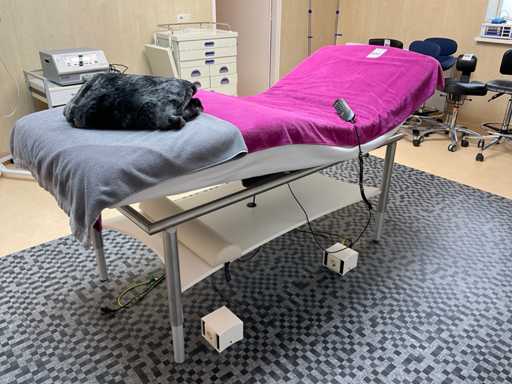 Veda Cosmoderm Behandlungstisch