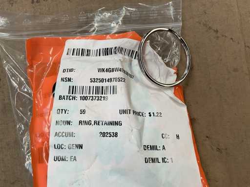 Sicherungsring (59x)