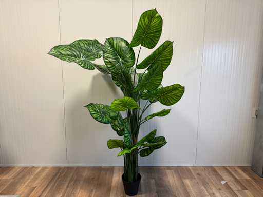 Real touch Philodendron White Green Sztuczna roślina (210 cm wysokości)