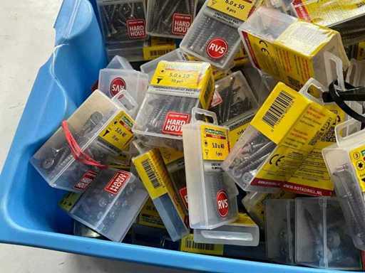 Rotadrill Assorti diverse schroeven RVS en verzinkt (100x)