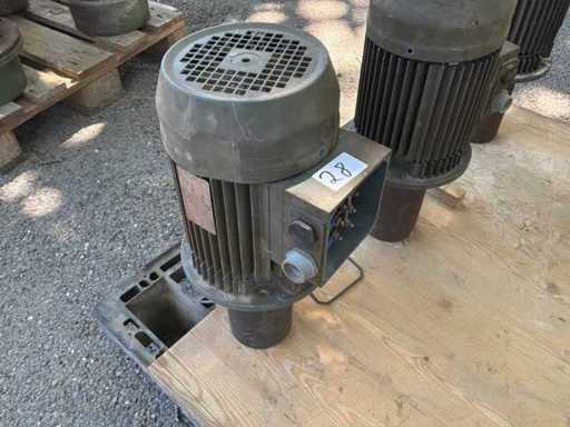 ANSALDO - A1C0962B A669 - Electric Motor