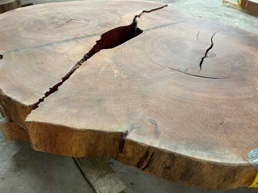 Guyana Teak houten schijf 1200mm