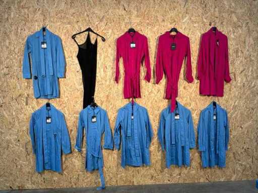 Goose-craft - Jurken (10x)