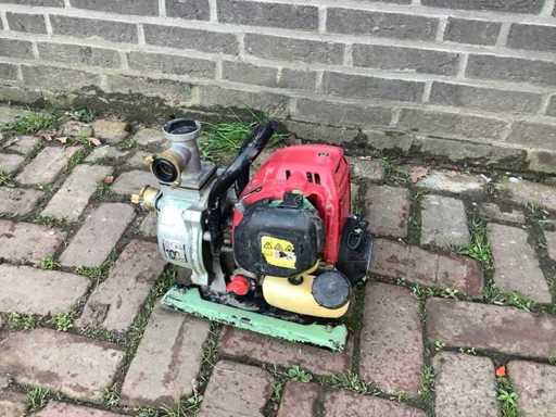 Pompe à eau Dog wx10