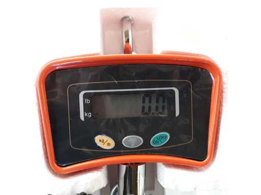 Overhead crane scale 