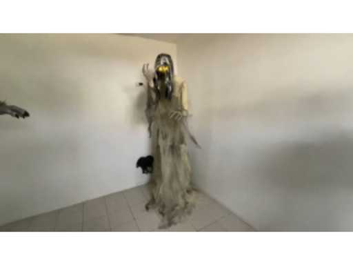 121cdef4-c971-4044-92e9-5086ed12137c.mp4