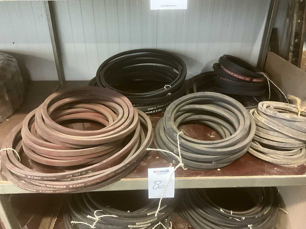 Batch of various drive belts