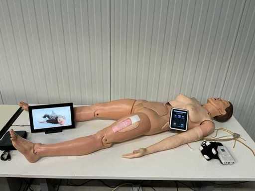 Nursing Anne - Laerdal - 325-05050