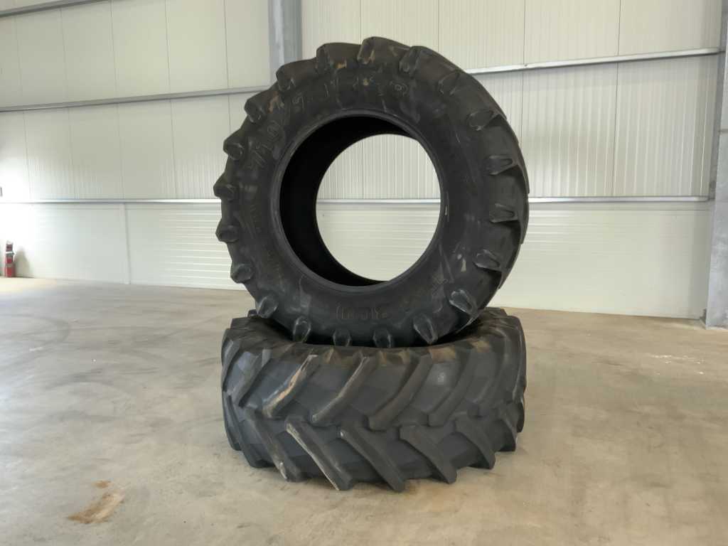Pirelli TM800 Tire (2x)