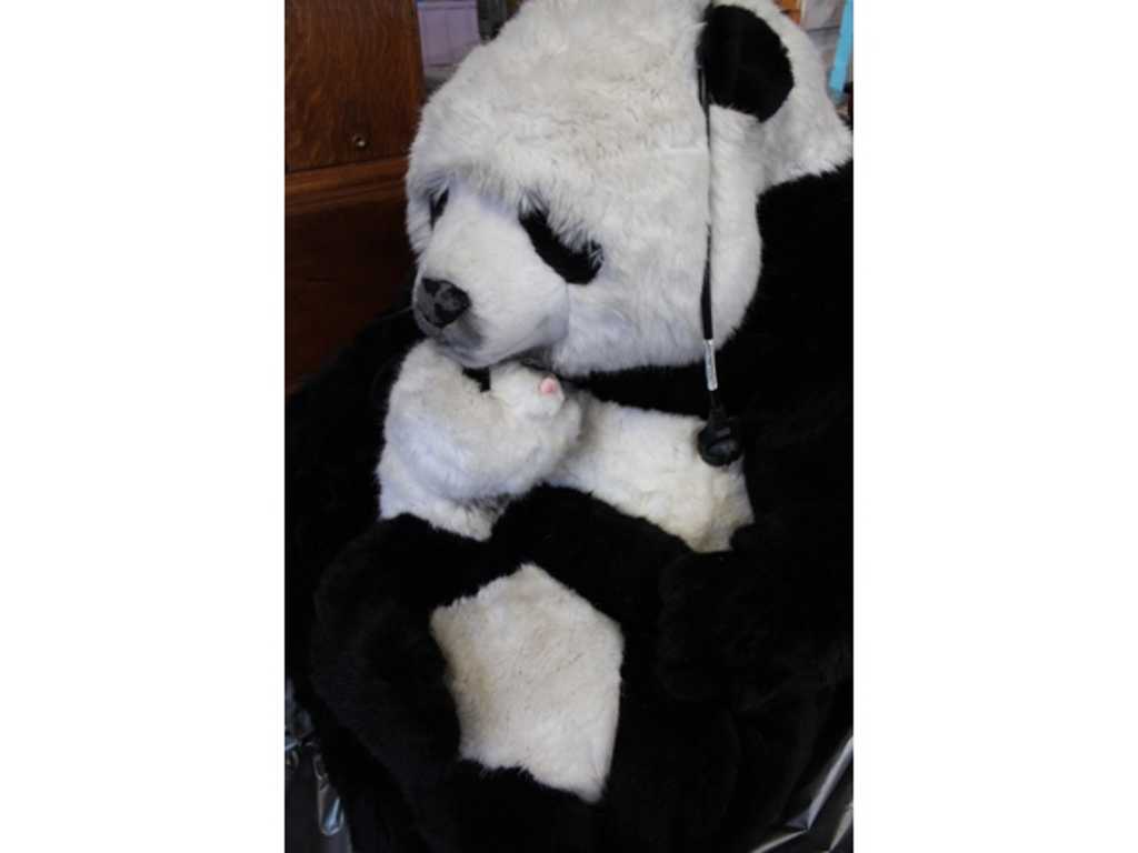 Cuddling pandas