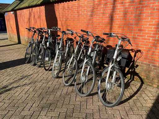 Rower elektryczny (8x)