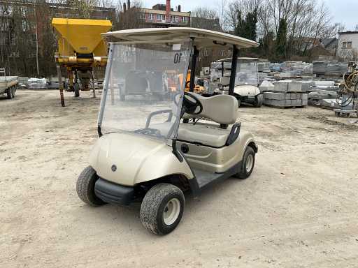 2012 YAMAHA YDREX2 Golfkar