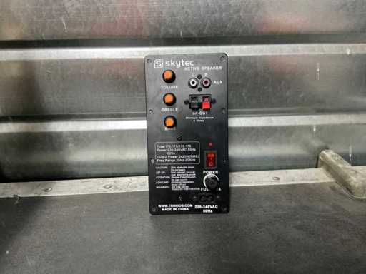 Skytec 220-240 VAC 50hz Amplificatoare încorporate (5x)