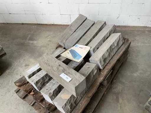 Palisade de pierre bleue tachetée (10x)