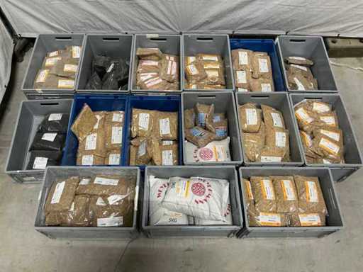 Festa delle Azioni della Birra