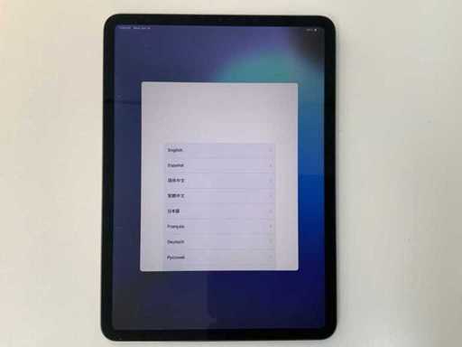 Apple - iPad Pro 11 cali (2018): Wi-Fi, 256GB, Space Gray - MTXQ2NF/A