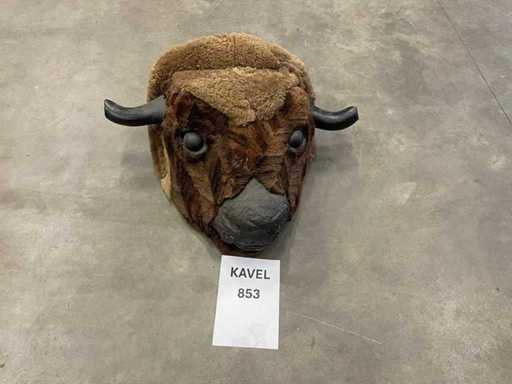 Tête de bison + lasso