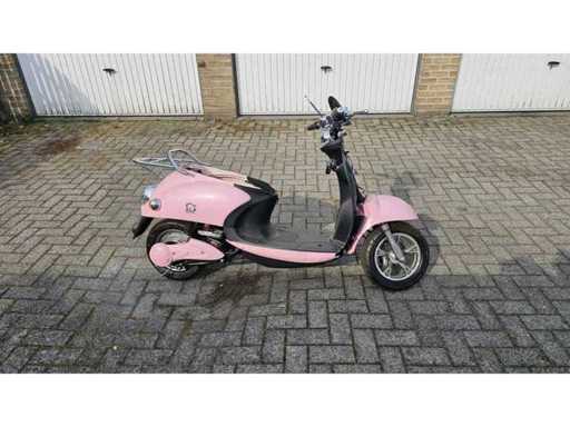 Elektrische scooter 