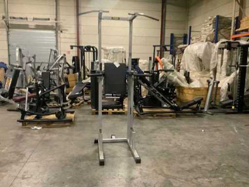 Technogym isotonic legraise chin dip Krachtstation