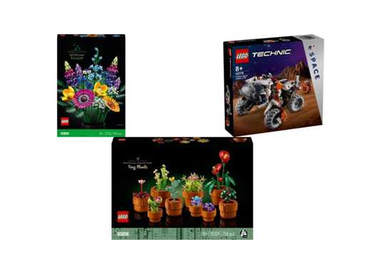 LEGO Icons Wild Flower Bouquet Building Set for Adults, Botanical Collection - 10313 + LEGO Technic Space Vehicle LT78 - 42178 + LEGO Icons Mini Plants - Botanical Collection - 10329