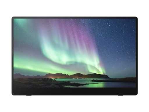 Ricoh Portable monitor 150BW