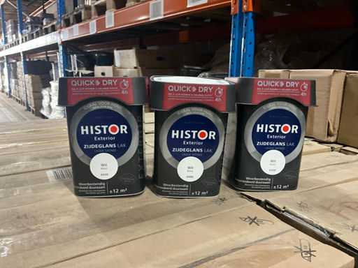 Batch Histor paint