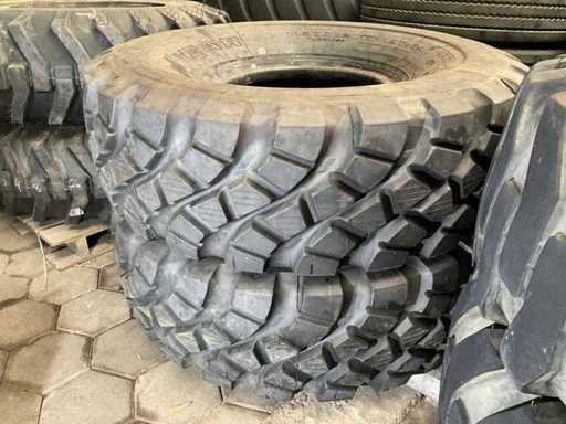 Trupa de Anul Bun (2x)