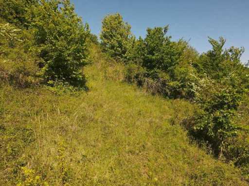 Parcelle de loisirs de 1 679 m² près de Cochem - Allemagne