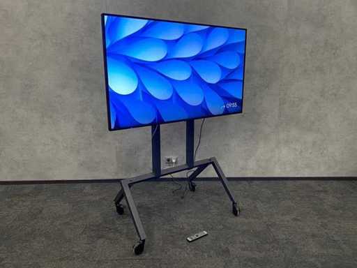 NEC M651 - 65" 4K UHD Monitor with Mobile Tripod