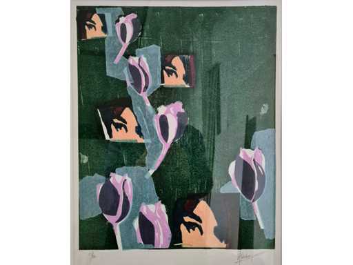 Seseria Hans Verhagen