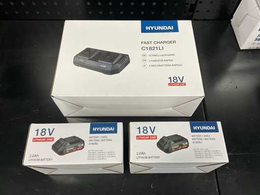 Hyundai C1821LI dual battery charger