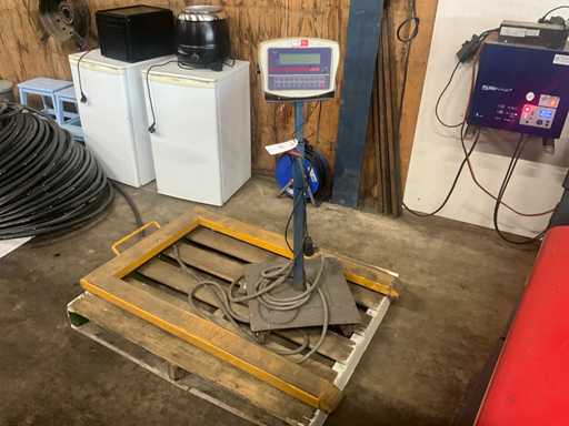 Balance au sol RIBA ARCI-30