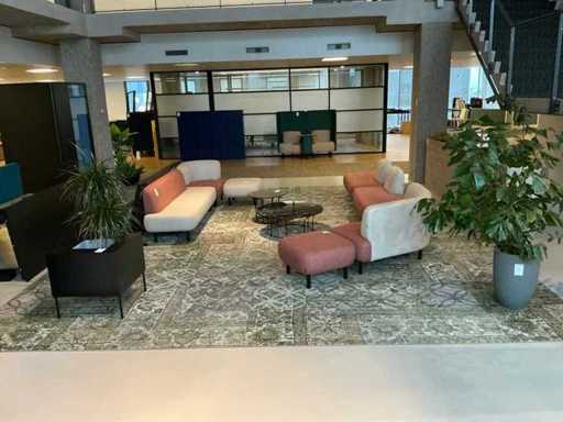 Desso & Ex Vloerkleed 640x560cm