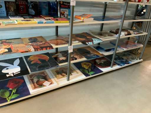 Diverse posters & schilderijen