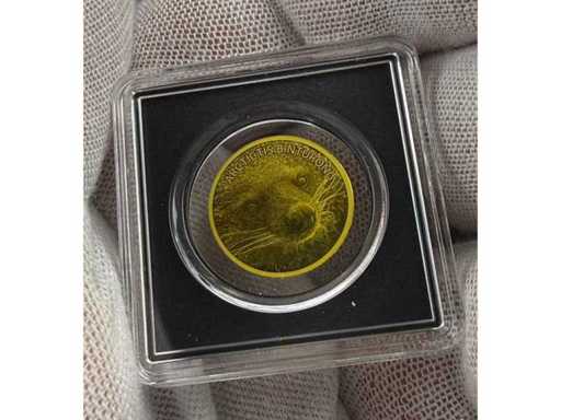 Exklusive 1/1000 oz Feingoldmünze „Arctictis Binturong“ aus 999 Fine Gold mit detailreicher Darstellung des seltenen Binturongs