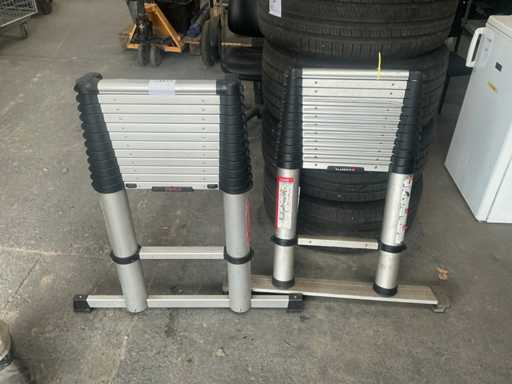 Telescope ladder (2x)