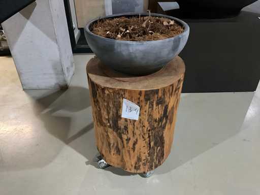 Bijzettafel - boomstam