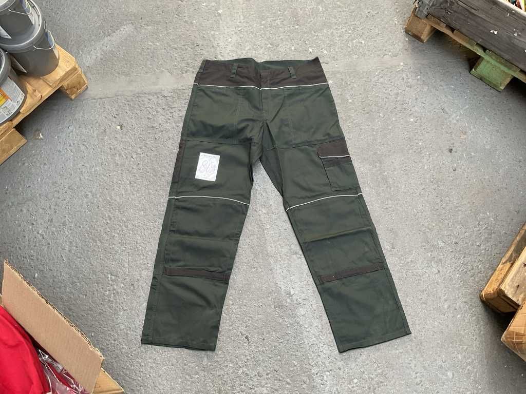 Pantaloni da lavoro Pangoline (10x)