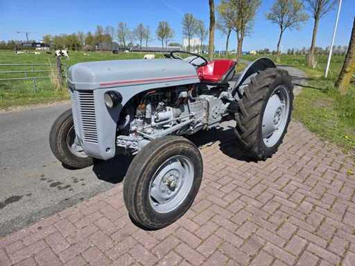 Massey Ferguson Ted Trattore agricolo a due ruote motrici del 1955