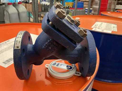 Sifone di terra a Y in ghisa DN20 PN40 (3x)