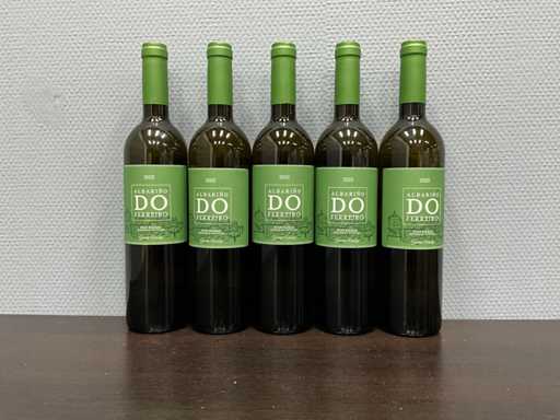 Bodega Gerardo Mendez Albarino Do Ferreiro 2023 (5x)