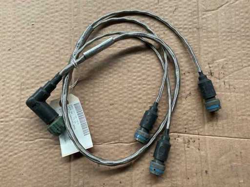 Cablaggio ramificato