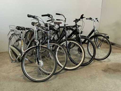 Fiets ( 5x )