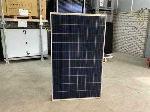 Talesun TP660P-280 Zonnepaneel (4x)