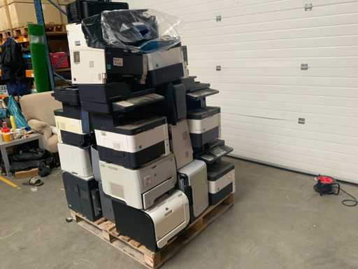 Tipografi del partito