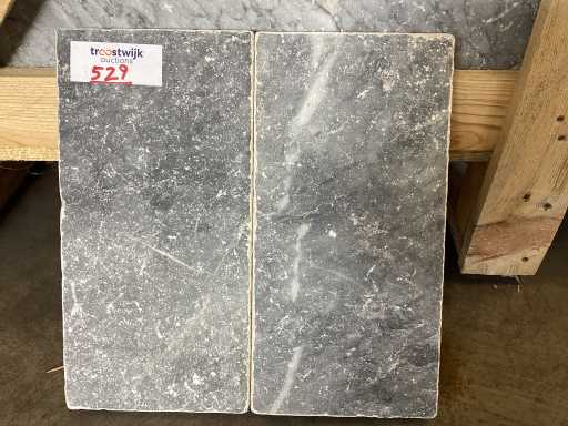 Natuursteen Blauwe Hardsteen 30x3xvrije lengte cm Tegel 36,8 m²