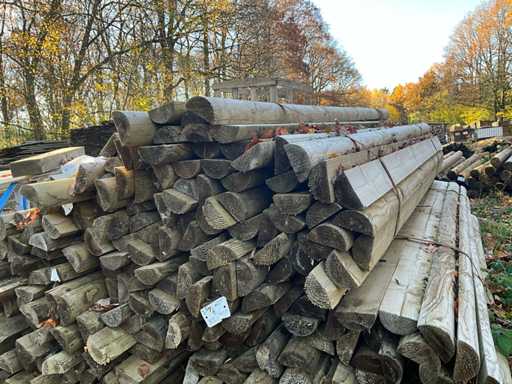 100 mezzi tronchi autoclavati