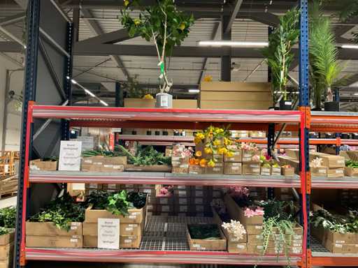 Emerald Artificial Indoor Plants and Flowers