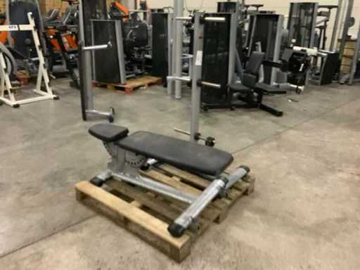 Gym80 signum 1x adjustable bench 1x schijven rek Krachtstation