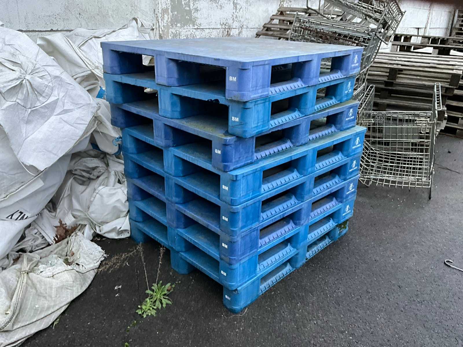 Plastic pallets/pallets PANIFLOWER (8x)